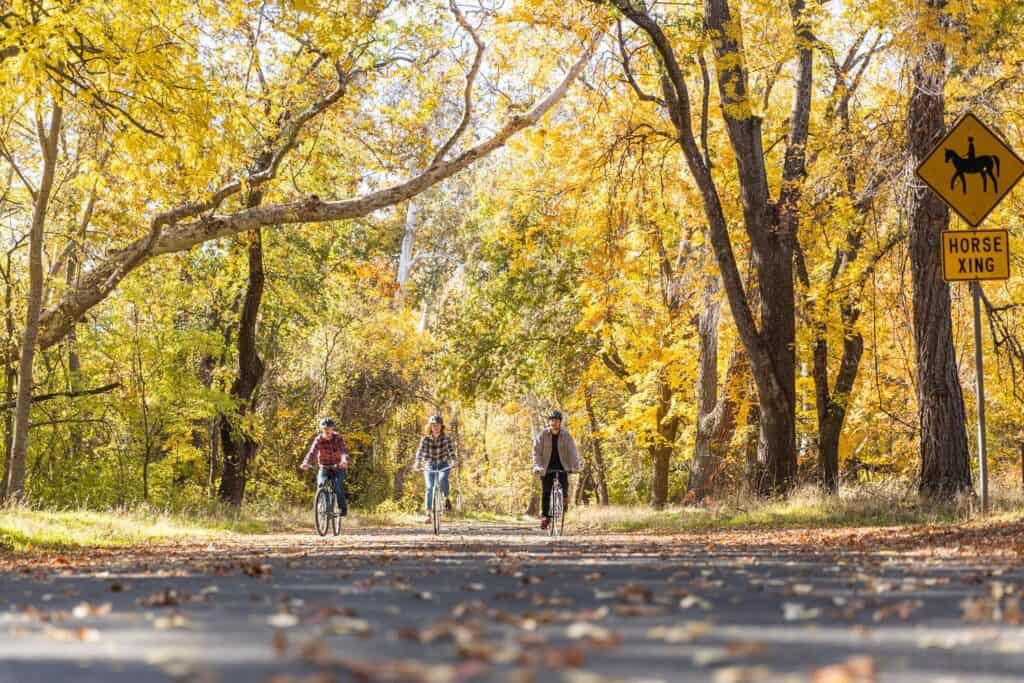 A family of four riding bikes through Lower Bidwell Park among the fall colors