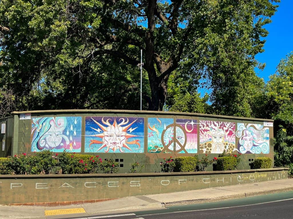 A mural is painted on the side of an elevated retaining wall. The artwork depicts colorful symbols in their own contained rectangles, reimagined with faces, including from left to right, a raindrop, the sun, a peace sign, a tree, and the wind. The mural background color is a faded jade green and a surrounding flower bed with red rock roses has the words “Peaces of Chico” painted on the outside in all caps, san serif font. Large green trees stand in the back of the retaining wall on a sunny day.